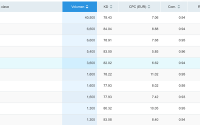 SEO para aseguradoras