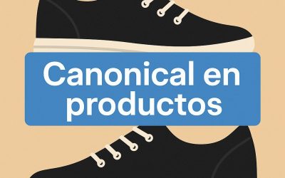 Uso de canonical en productos de ecommerce